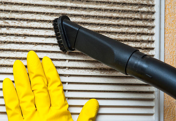 Best Home Air Vent Cleaning  in Santo Domingo Pueblo, NM